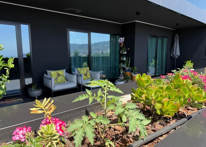 Virtudes Charm * Φουνκάλ